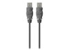 BELKIN COMPONENTS F3U131-10 USB 2.0 TYPE A/A (MALE/MALE)