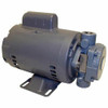 FILTER PUMP MOTOR; 1/2HP;; 110-115V/220-230V