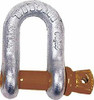 MARTYR ANODES491-10319062 SHACKLE-D ANCHOR GALV 1/4IN