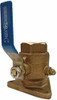 BUCK  ALGONQUIN379-00ASC250LP SEACOCK LOW PROFILE 2-1/2IN