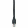BLACK BOX EVNSL640-0020 GIGATRUE CAT6 CHANNEL 550-MHZ PATCH CABL