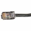 BLACK BOX EVNSL647-0020 GIGATRUE CAT6 CHANNEL 550-MHZ PATCH CABL