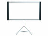 EPSON ELPSC80 DUET ULTRA-PORTABLE PROJECTOR SCREEN