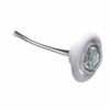 Innovative Lighting LED Bulkhead/Livewell Light The Shortie White LED w/ White Grommet