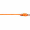 BLACK BOX CAT6PC-025-OR BLACK BOX CONNECT CAT6 250 MHZ ETHERNET PATCH CABLE UTP PVC SNAGLESS ORANGE 25 F