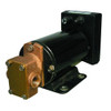 GROCO Reversing Gear Pump 3/4 NPT Ports - 12V