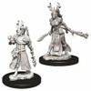 WizKids WZK73701 D&D: NMU: Female Human Druid W9