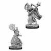 WizKids WZK73415 PF DC: Liches W6