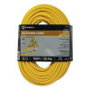 SOUTHWIRE 172-04189 100 EXTENSION POLAR SOLAR PLUS LIGHTED ENDS
