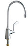 Chicago Faucets C350G8AE29317XKAB Pantry Sink Faucet, 2.2 GPM
