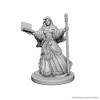 WizKids WZK72619 D&D: NMU: Human Female Wizard W1