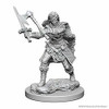 WizKids WZK72644 D&D: NMU: Human Female Barbarian W1