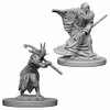 WizKids WZK72641 D&D: NMU: Elf Male Druid W4