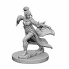 WizKids WZK72606 PF DC: Elf Female Sorcerer W1