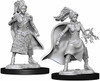 WizKids WZK73832 D&D: NMU: Female Human Sorcerer W10
