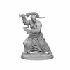 WizKids WZK72612 PF DC: Human Male Monk W1