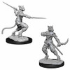 WizKids WZK73540 D&D: NMU: Male Tabaxi Rogue W7