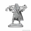 WizKids WZK72628 D&D: NMU: Human Male Sorcerer W1