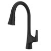 Pfister GT529NRB Pfister Norden Kitchen Faucet - Matte Black