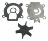 SIERRA 183243 IMPELLER KIT