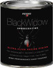 PETTIT PAINT 1186906 BLACK WIDOW RACING FINISH GL
