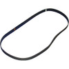 Saniserv 8009935 SANISERVE SERPENTINE;BELT