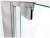 DreamLine Elegance-LS SHDR-4325000-09 Frameless Pivot Shower Door