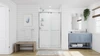DreamLine Encore SHDR-1648760-01 Frameless Bypass Sliding Shower Door