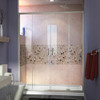 DreamLine DL-6961R-04CL The DreamLine Visions shower or tub door offers breathtaking style for your shower area. Visions features a unique design with two stationary glass panels and two sliding glass panels that open to create an ample center point