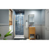 DreamLine Lumen Semi-Framed Swing Shower Door SHDR-5334720-01