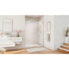 DreamLine Essence SHDR-6360760-01 Frameless Sliding Bypass Shower Door