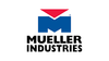 Mueller Industries B34240 2 5/8 Four-Bolt Check Valve