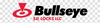 BULLS EYE SAFE DEPOSIT LOCKS P4GUARDKEY BULLSEYE P4 GUARD KEY FOR B541-BR-P4