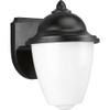 Progress Lighting 94584431 P5844-31 Black Outdoor 1-Light Plastic Wall Lantern with White Acrylic Glass, Black