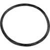 UNITED AQUA GROUP 35505-1437 TRAP LID O-RING AGP SERIES