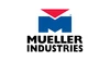 Mueller 398000 1/2 x 12 in. Galvanized Pipe Nipple