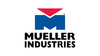 Mueller 283800 3/4 in. x 5 in. Galvanized Pipe Nipple