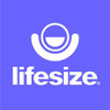 LifeSize 3000-0000-0636