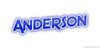 ANDERSON177-M385S PORCH LITE COL/CLR W/SWITCH