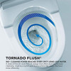 TOTO® TMS604124CUFRG01 