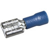 FEMALE DIS BX 100; ALL POINTS