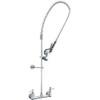 PRE-RINSE ASSY -;WAL
