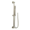 CSI 3887EPBN Brushed nickel eco-performance handshower handheld shower Brushed Nickel