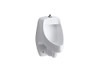 Kohler K-5016-ETSS-0 Kohler Dexter Urinal Top Spud Antimicrobial