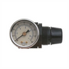Motorguard J.R. Tech 04049 Mini Regulator with Gauge, 1/4 in NPT, Use With: HVLP Spray Gun
