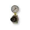 Reading Technologies  RG25 Regulator and Gauge Assembly, 1/4 in