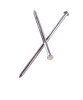 NAIL SIDING SS 10D 1LB
