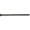 NAIL POLE BARN STEEL 20D