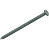 NAIL CMN HDG 20DX4 50#