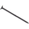 LOBE SCREW #10 5.5 12PK